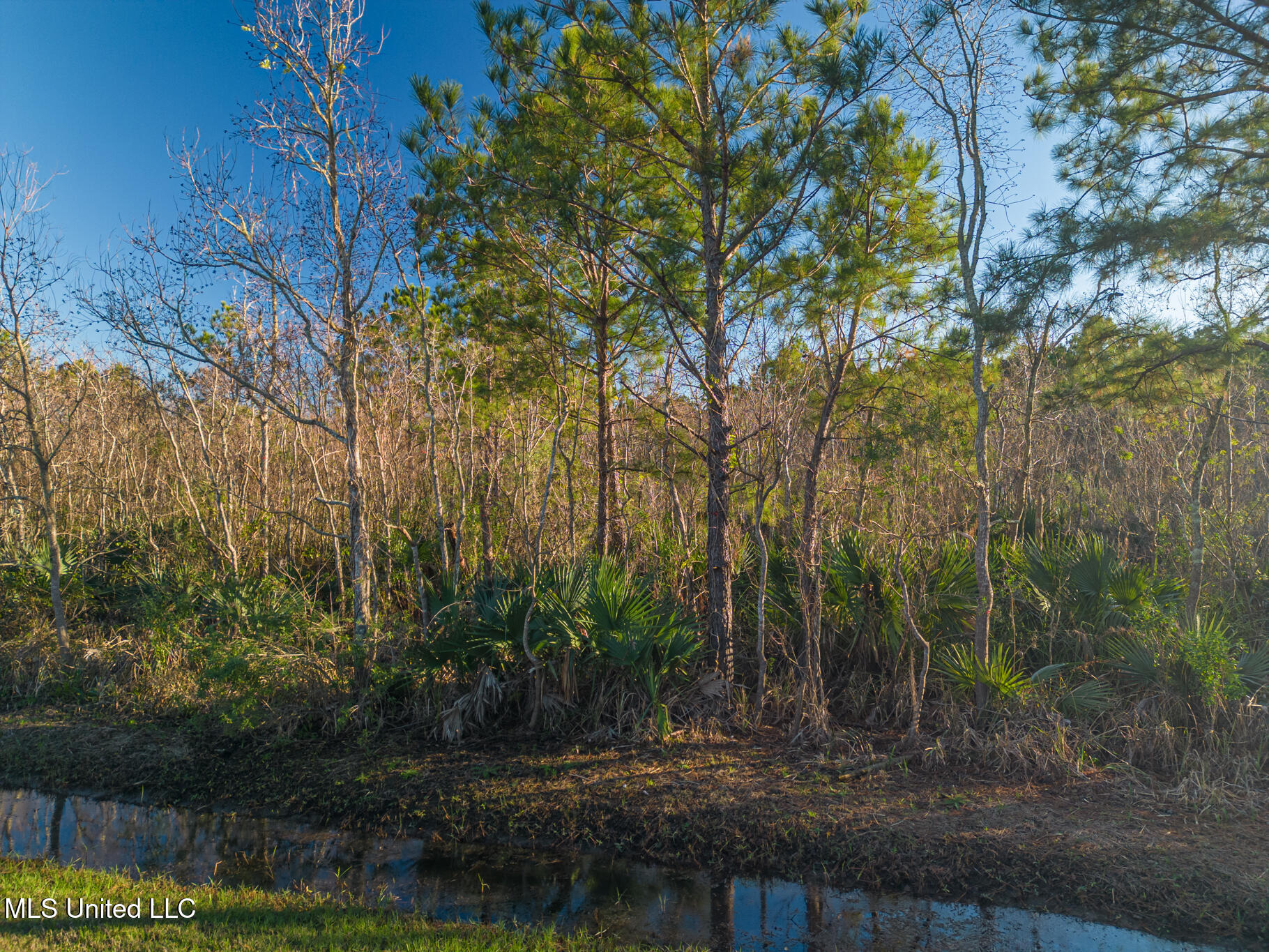 Lot 2 Bayou View Dr, Bay Saint Louis, Mississippi image 7