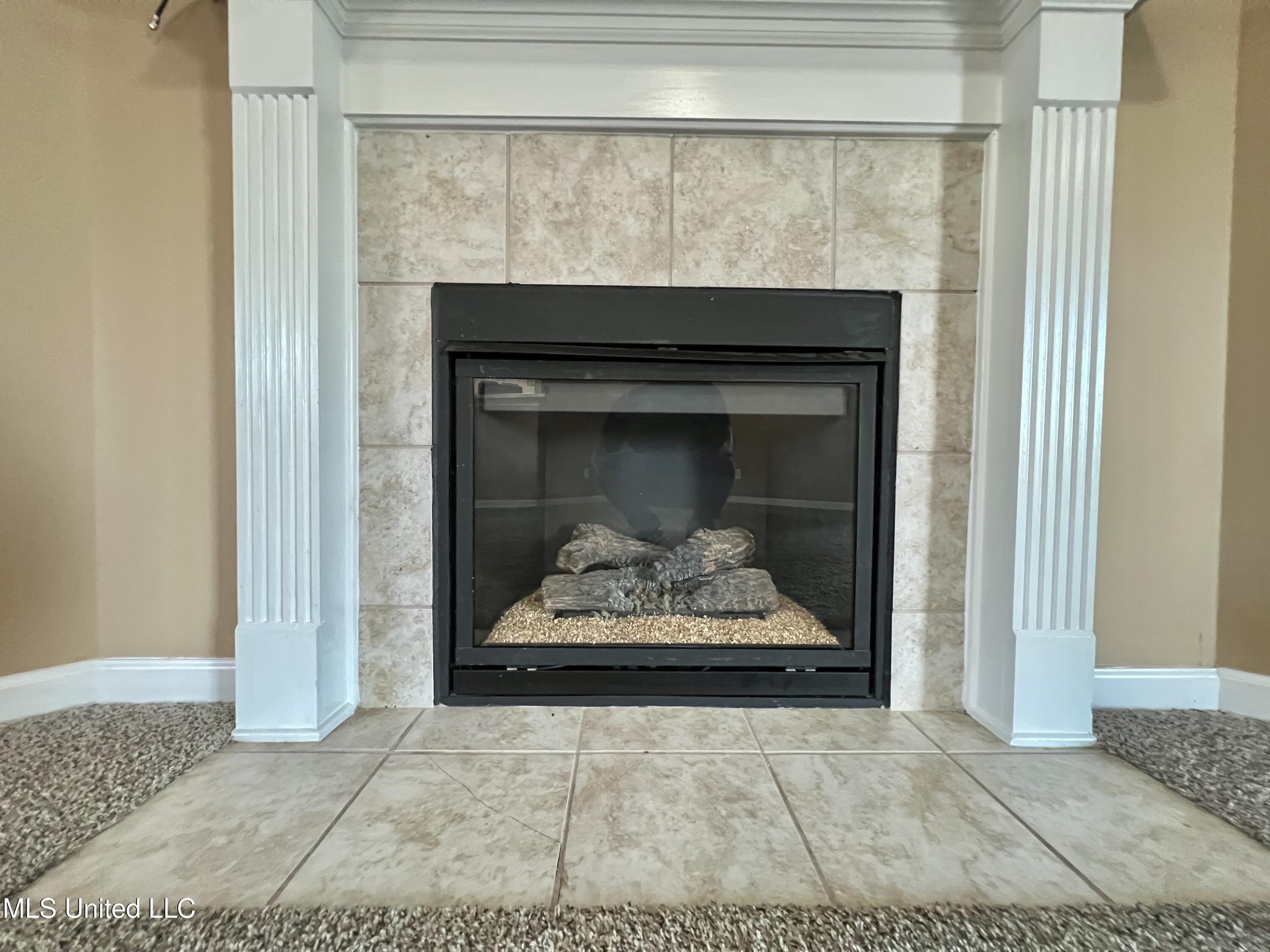 3895 Rolling Wagon Cove, Southaven, Mississippi image 9