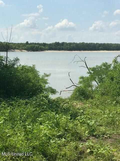 Vacant Land For Sale - 00 Jackson Point Road<br/> Wilkinson County, Woodville, MS 39669