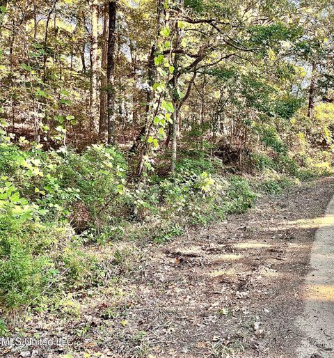 Vacant Land For Sale - Snow Lake Drive<br/> Ashland, MS 38603