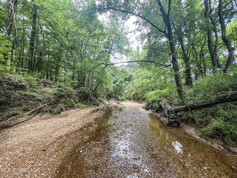 Vacant Land For Sale - Pine Lodge Road Road<br/> Batesville, MS 38606