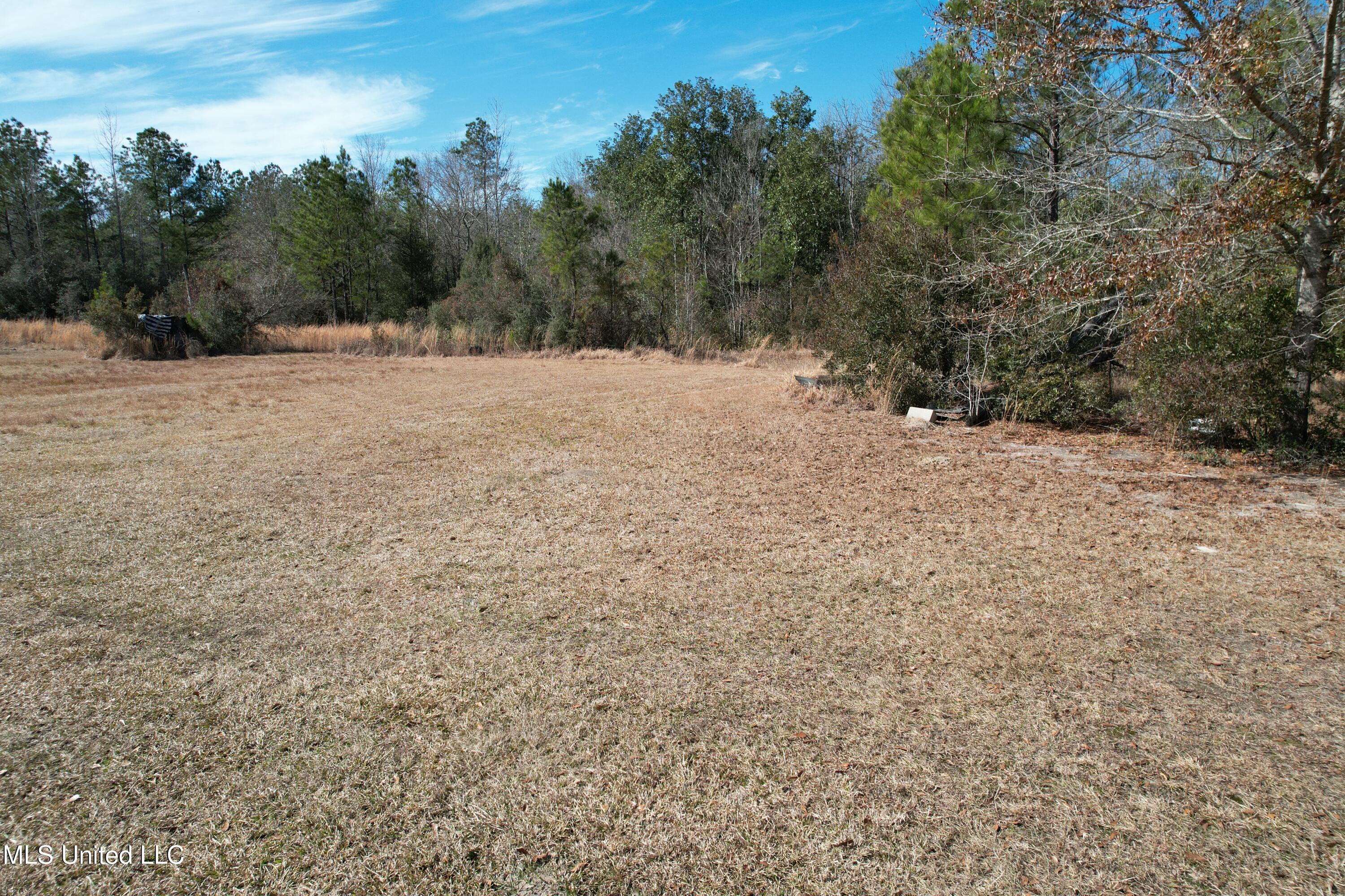 Turner Whittington Road, Perkinston, Mississippi image 10