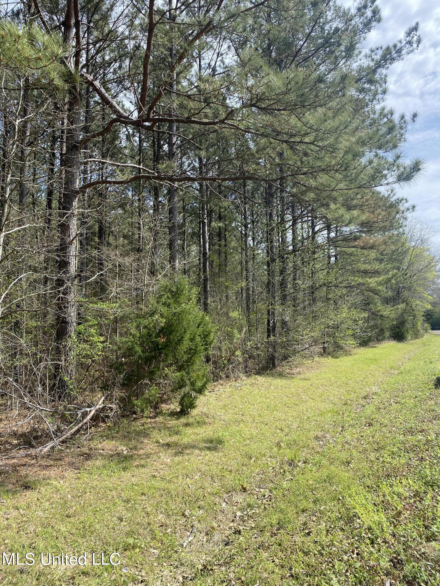 Dampeer Road, Canton, Mississippi image 2