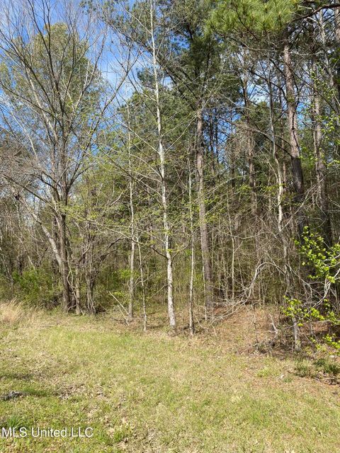 Vacant Land For Sale - Dampeer Road<br/> Canton, MS 39046
