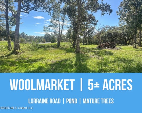 Vacant Land For Sale - Lorraine Road<br/> Biloxi, MS 39532
