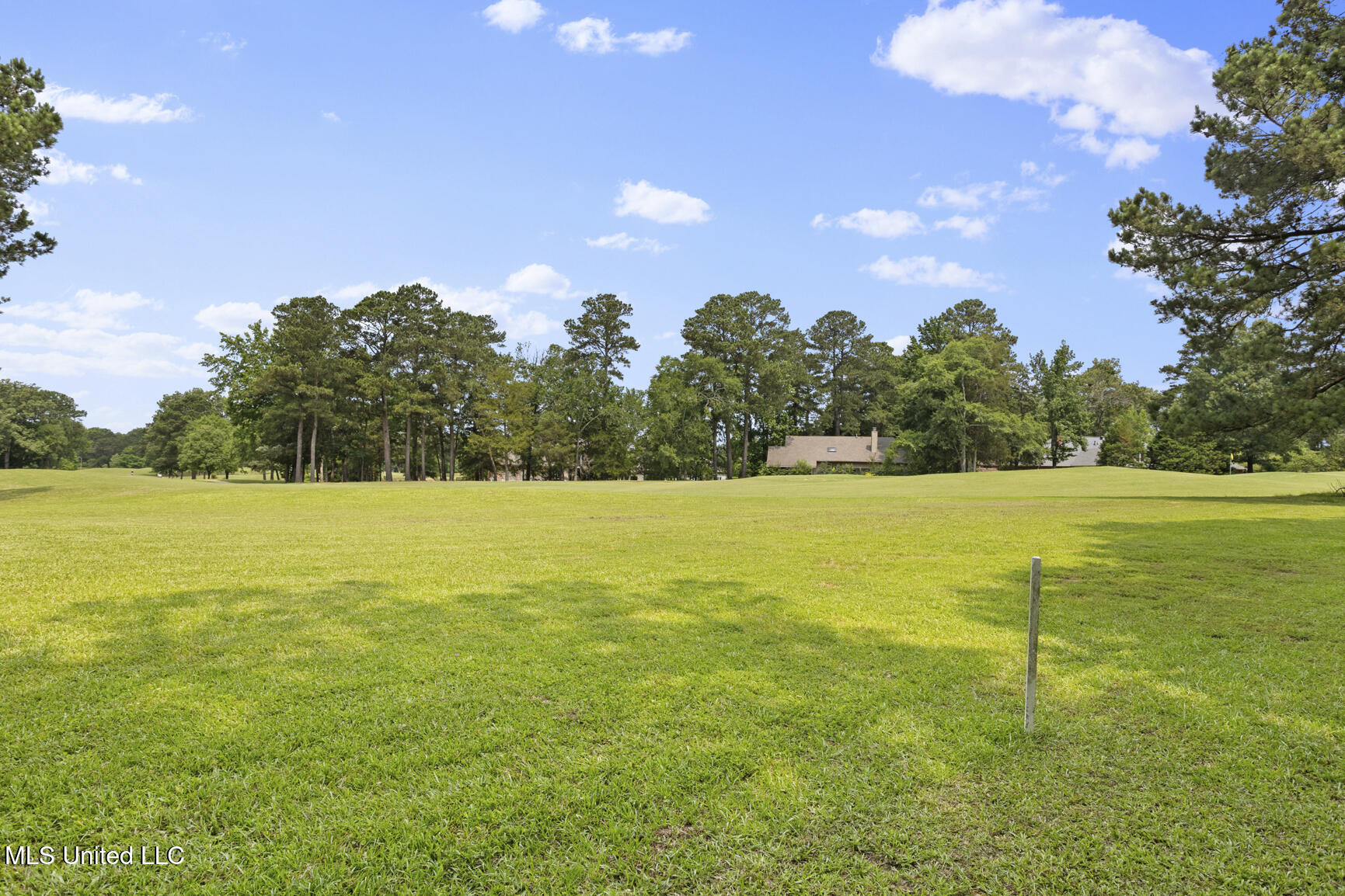415 Spike Ridge, Canton, Mississippi image 28