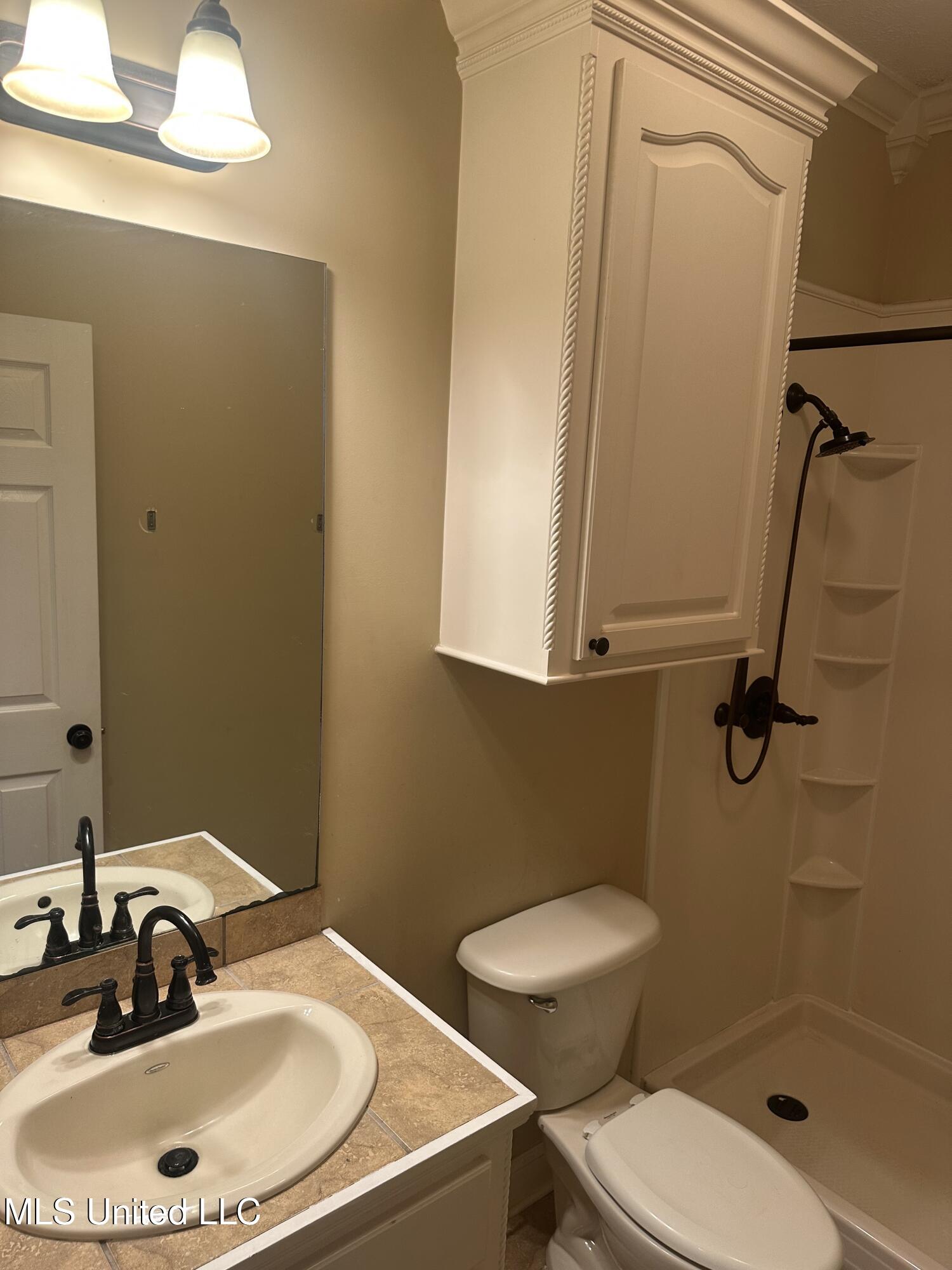 423 Grant Fox Drive, Brandon, Mississippi image 32