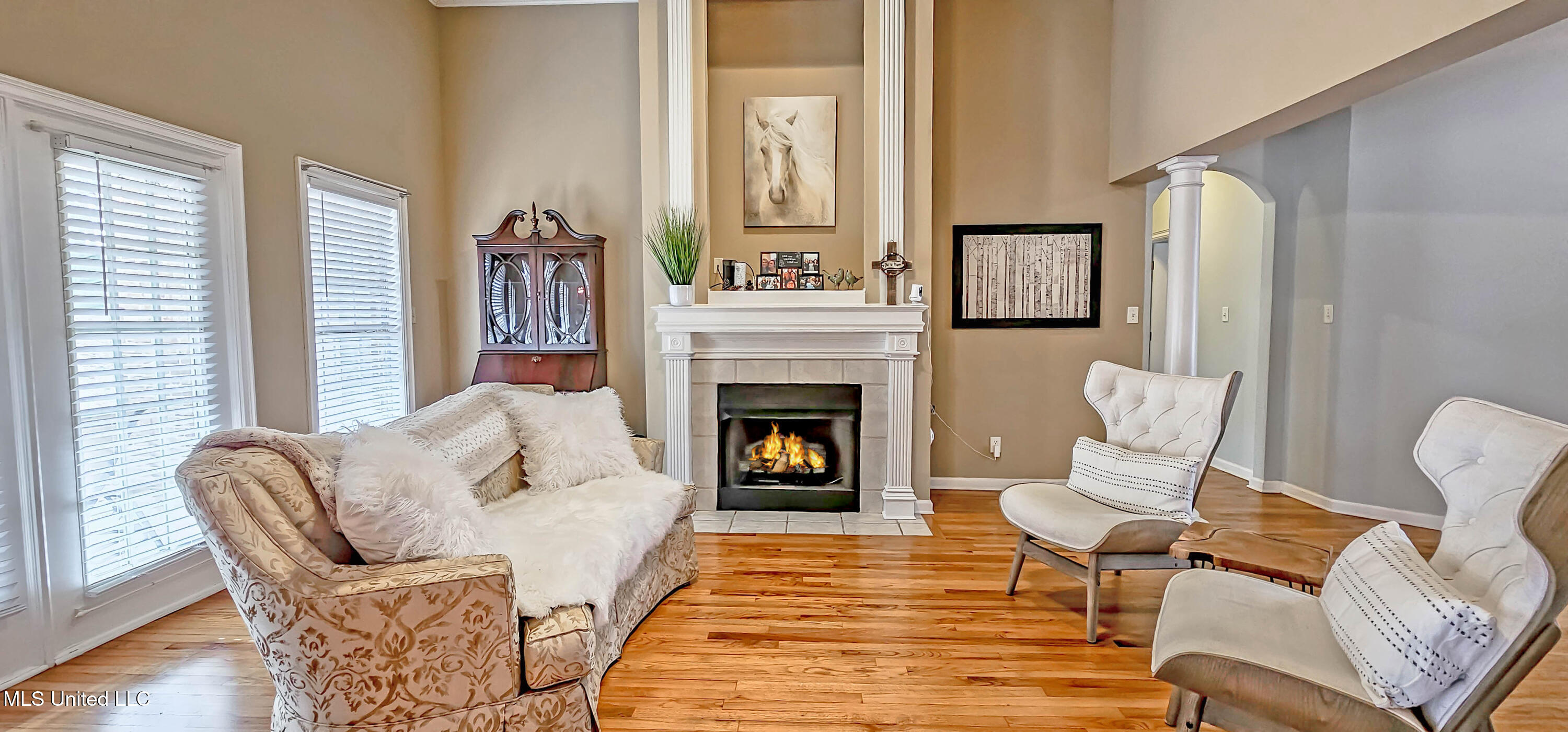 9855 Leslie Lane, Olive Branch, Mississippi image 8
