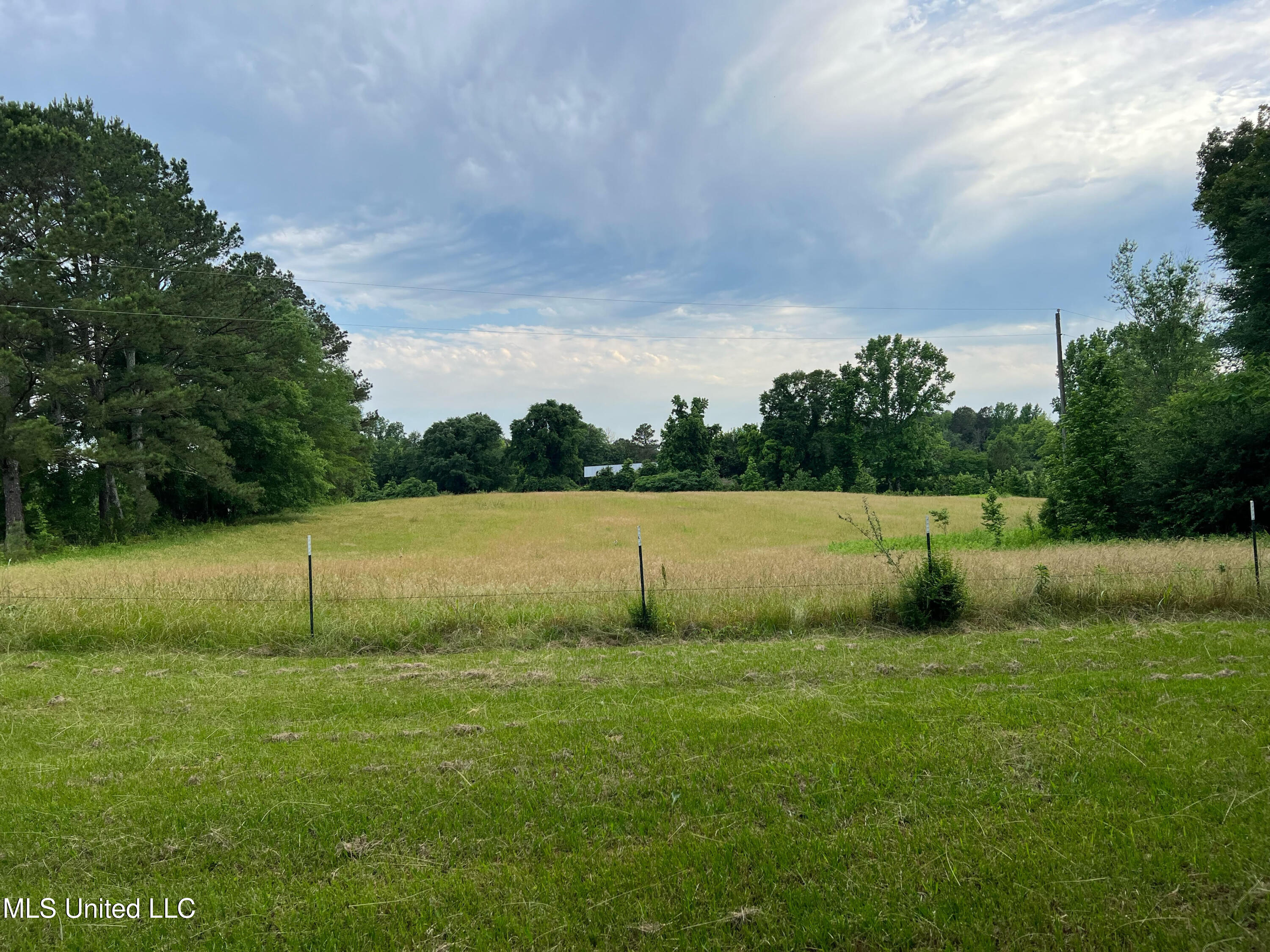 5571 County Line Road, Carthage, Mississippi image 2