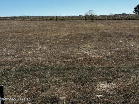 Vacant Land For Sale - Q-37 Lake Village Drive<br/> Madison County, Madison, MS 39110