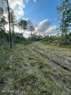 12409 Lorraine Road, Biloxi, Mississippi image 5