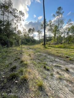 12409 Lorraine Road, Biloxi, Mississippi image 4