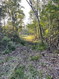 12409 Lorraine Road, Biloxi, Mississippi image 8