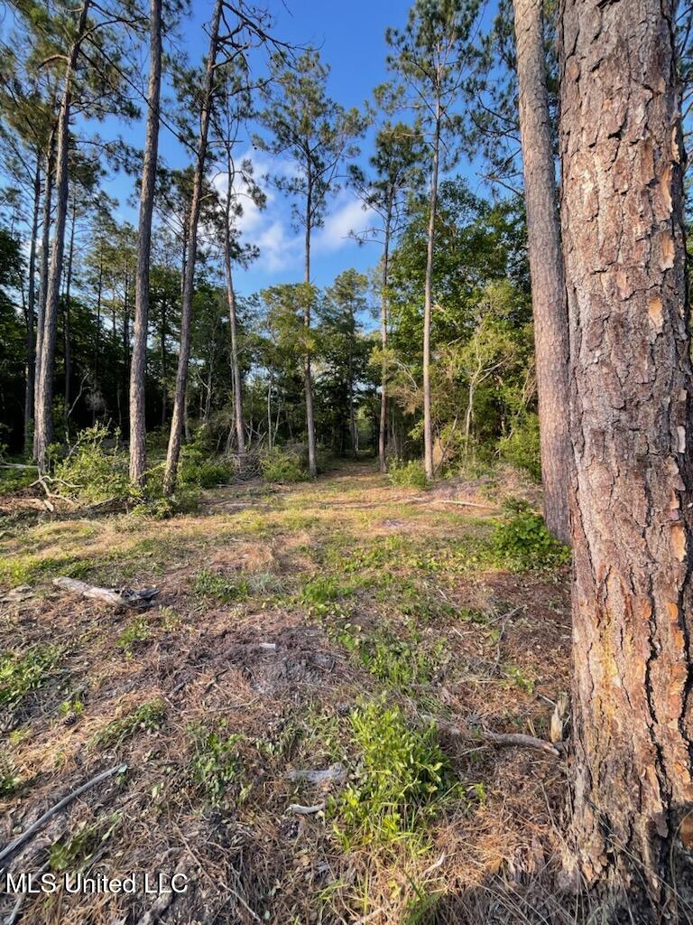 12409 Lorraine Road, Biloxi, Mississippi image 14