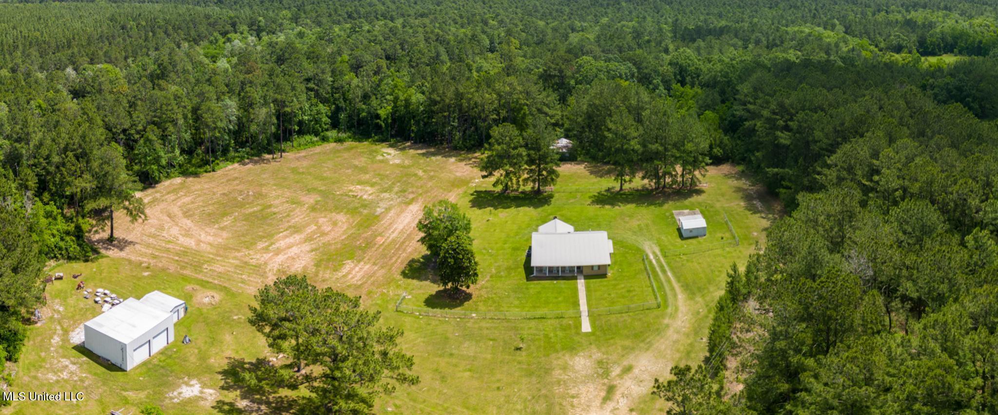 28121 Dusty Lane, Picayune, Mississippi image 3