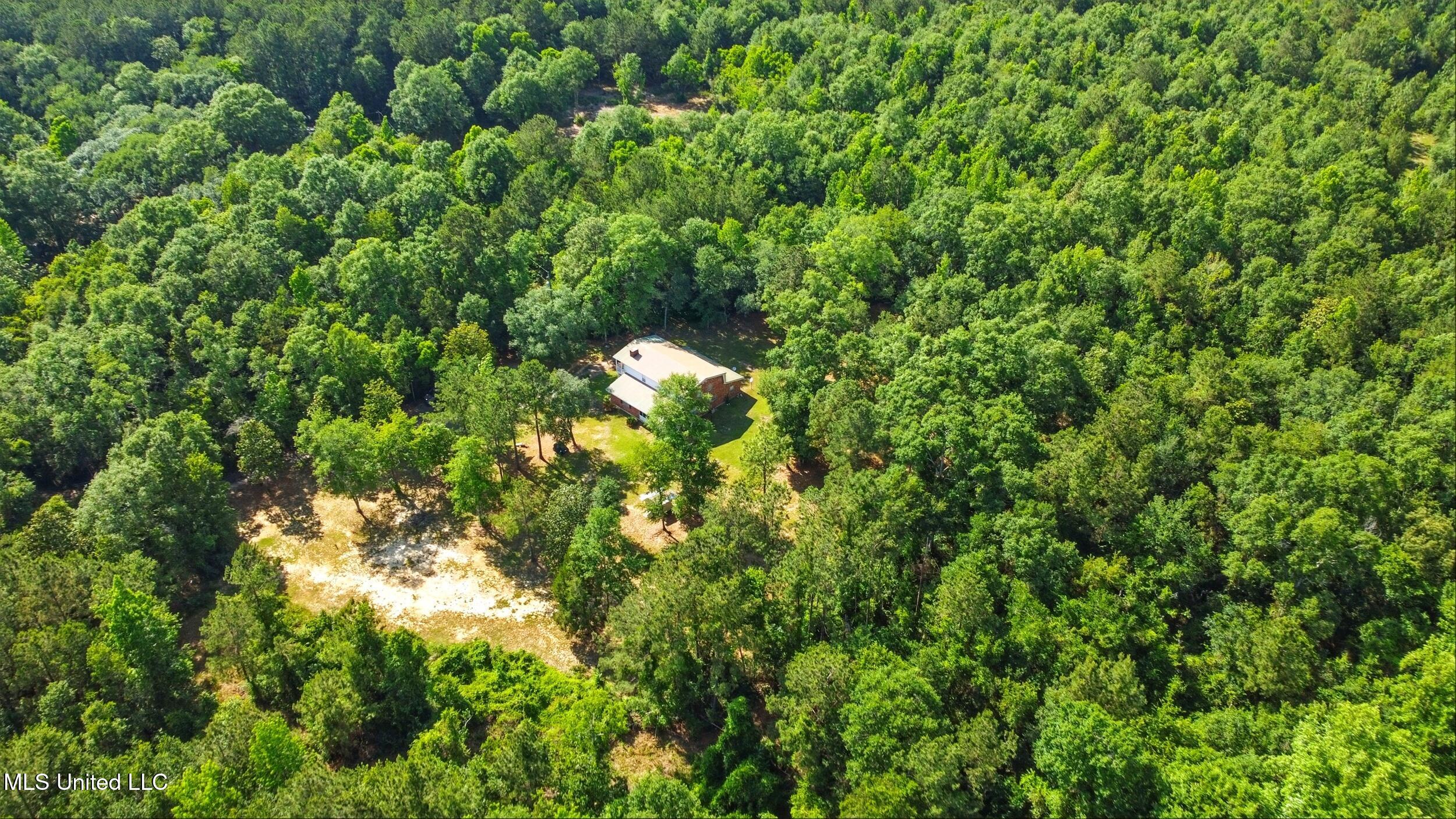 18 Shamrock Lane, Carriere, Mississippi image 8