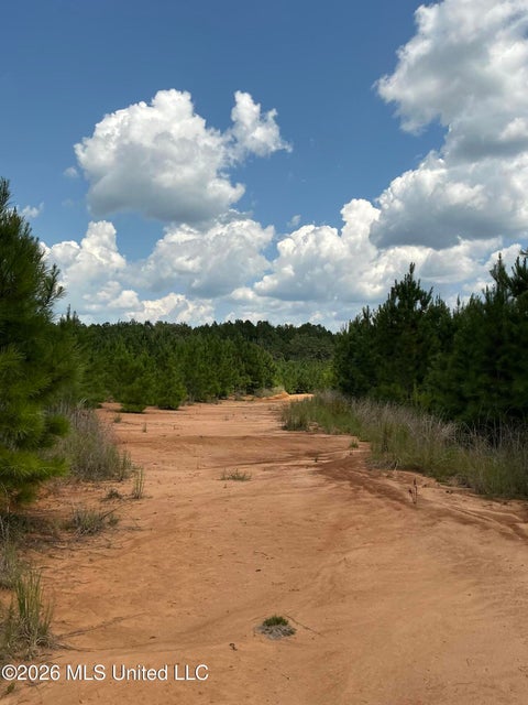 Vacant Land For Sale - Smithtown Road<br/> Tylertown, MS 39667