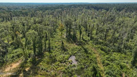 Vacant Land For Sale - 891 Ms-48<br/> Tylertown, MS 39667