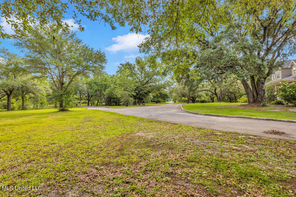 24071 Cuevas Delisle Road, Pass Christian, Mississippi image 38