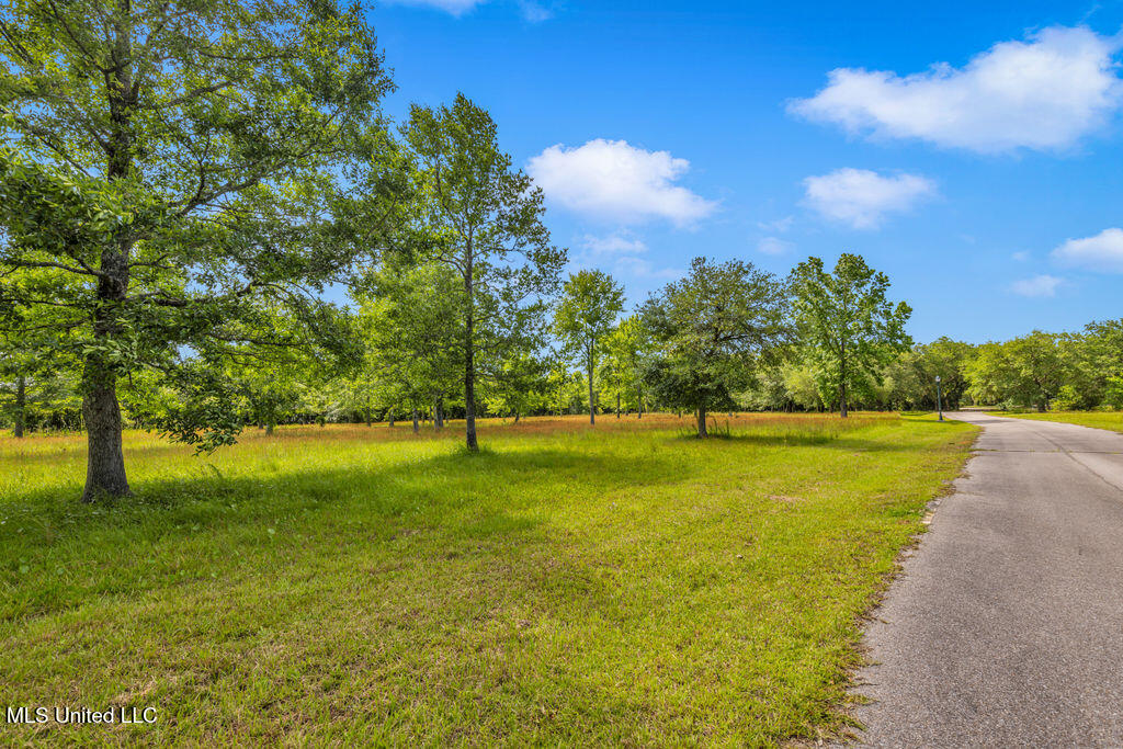 24071 Cuevas Delisle Road, Pass Christian, Mississippi image 33