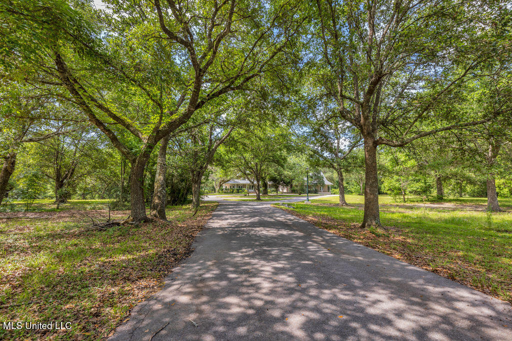 24071 Cuevas Delisle Road, Pass Christian, Mississippi image 10