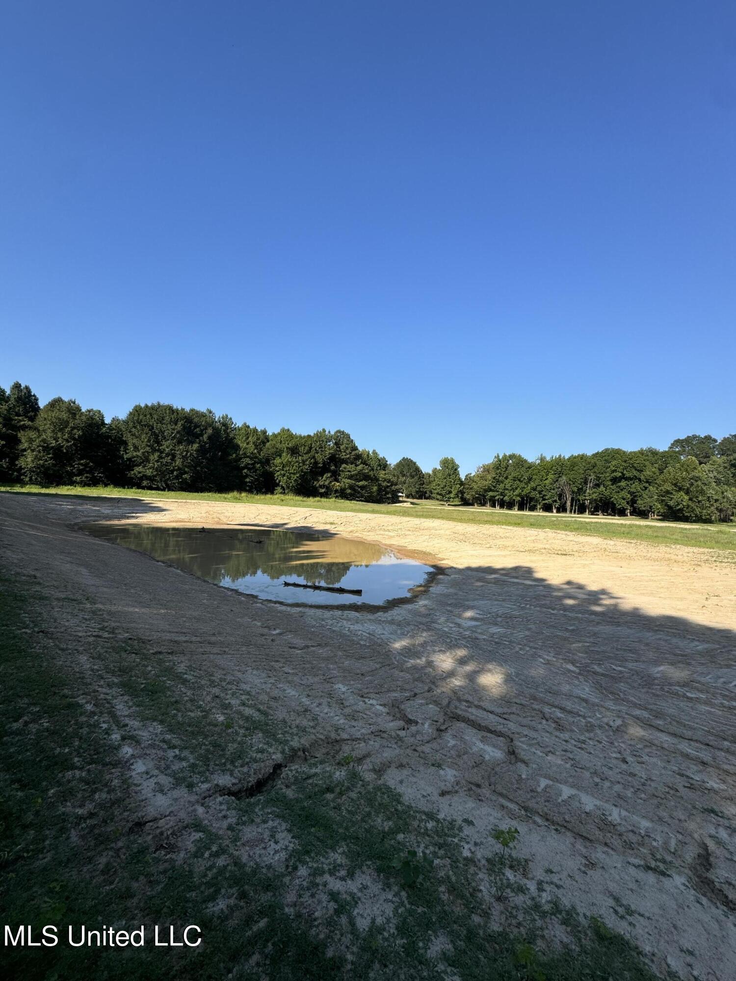 Holly Springs Road, Hernando, Mississippi image 7