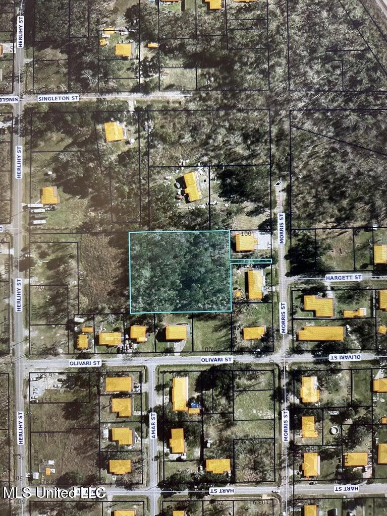 425 Herlihy Street, Waveland, Mississippi image 1