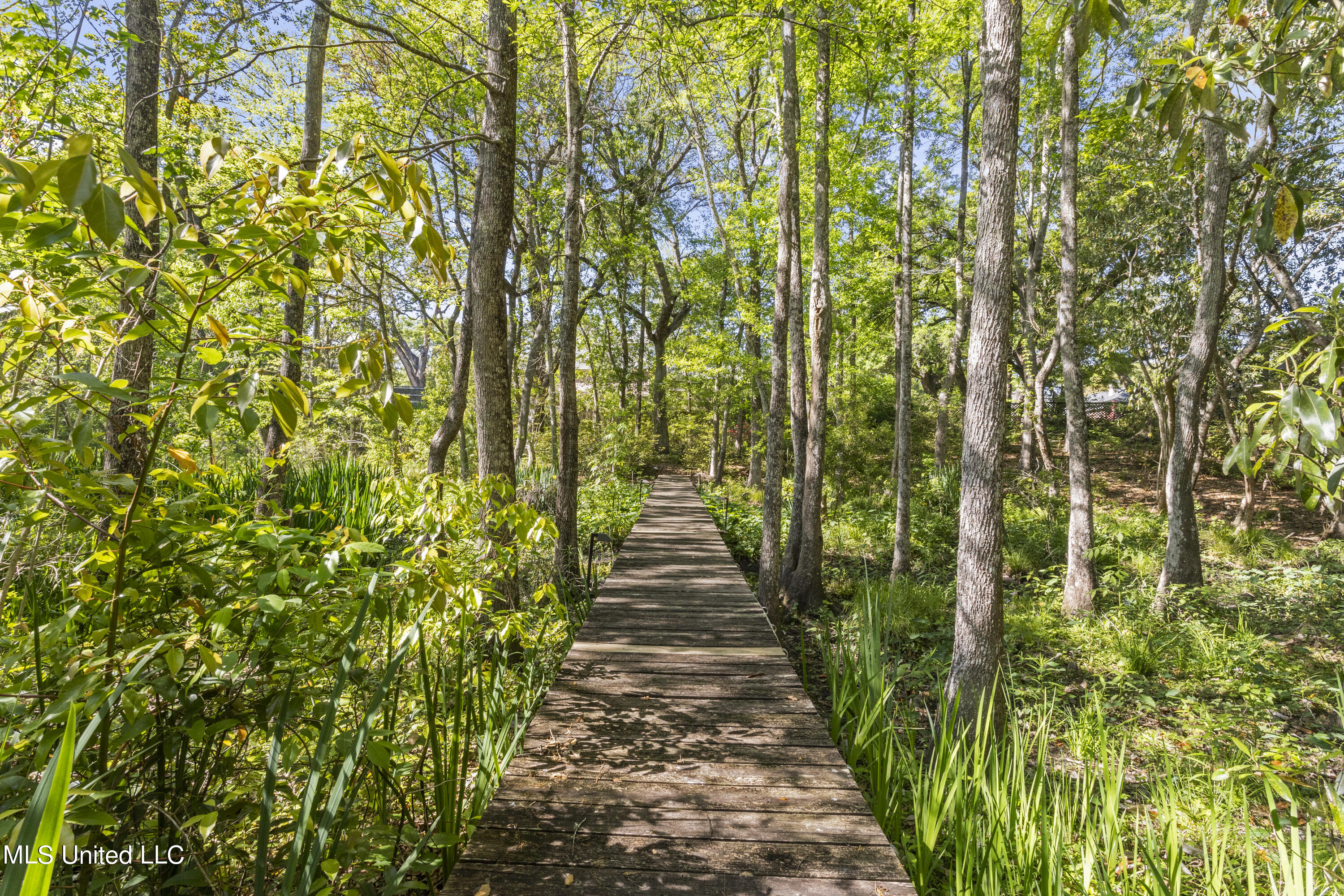 13904 Paraiso Road, Ocean Springs, Mississippi image 43