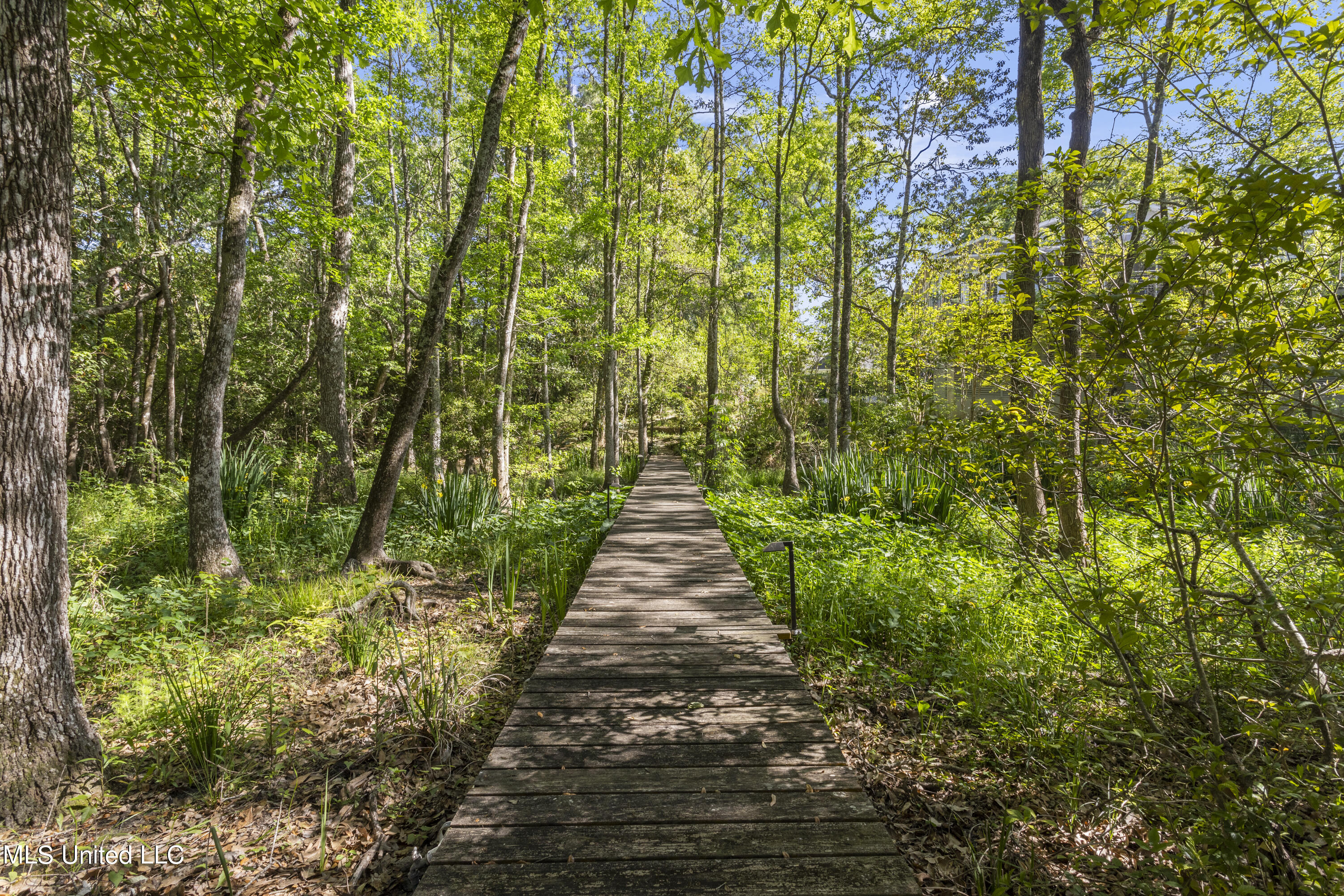 13904 Paraiso Road, Ocean Springs, Mississippi image 48