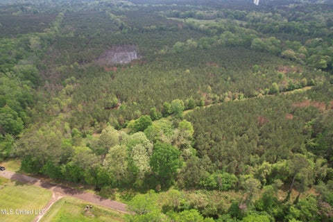 Vacant Land For Sale - Campbell Creek Road<br/> Simpson County, Mendenhall, MS 39114