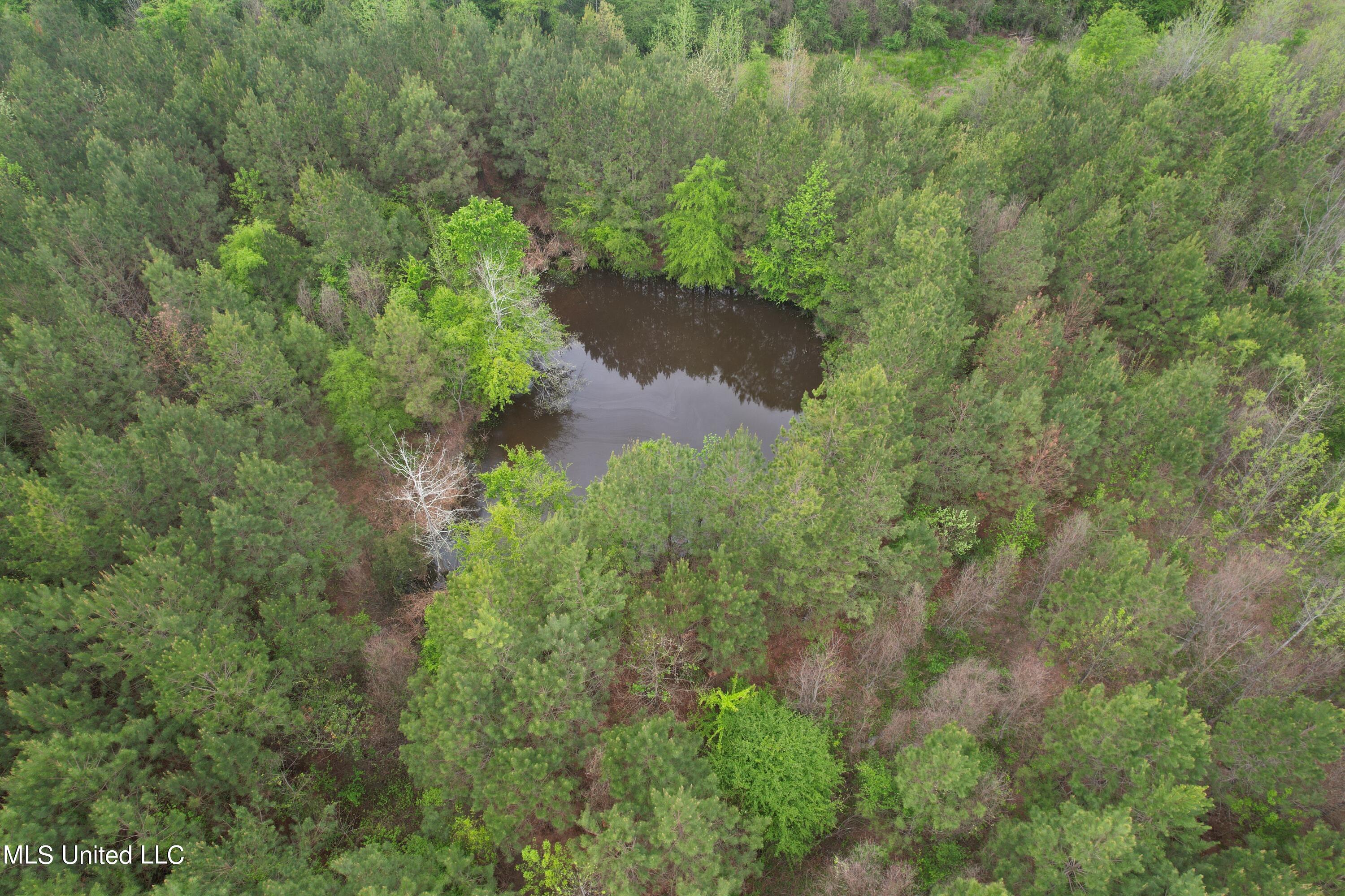 Campbell Creek Road, Mendenhall, Mississippi image 14