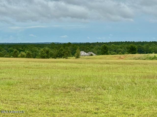 15 Short Look Drive, Carriere, Mississippi image 33