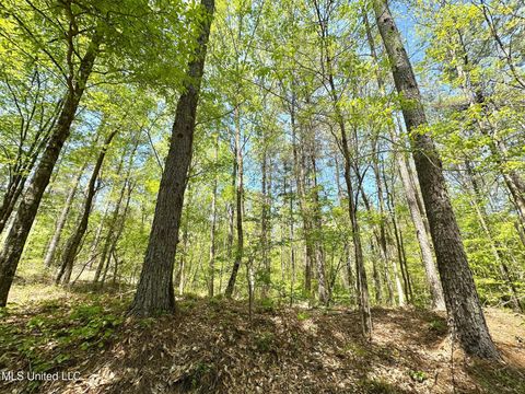 Vacant Land For Sale - County Road 375<br/> Carroll County, Carrollton, MS 38917