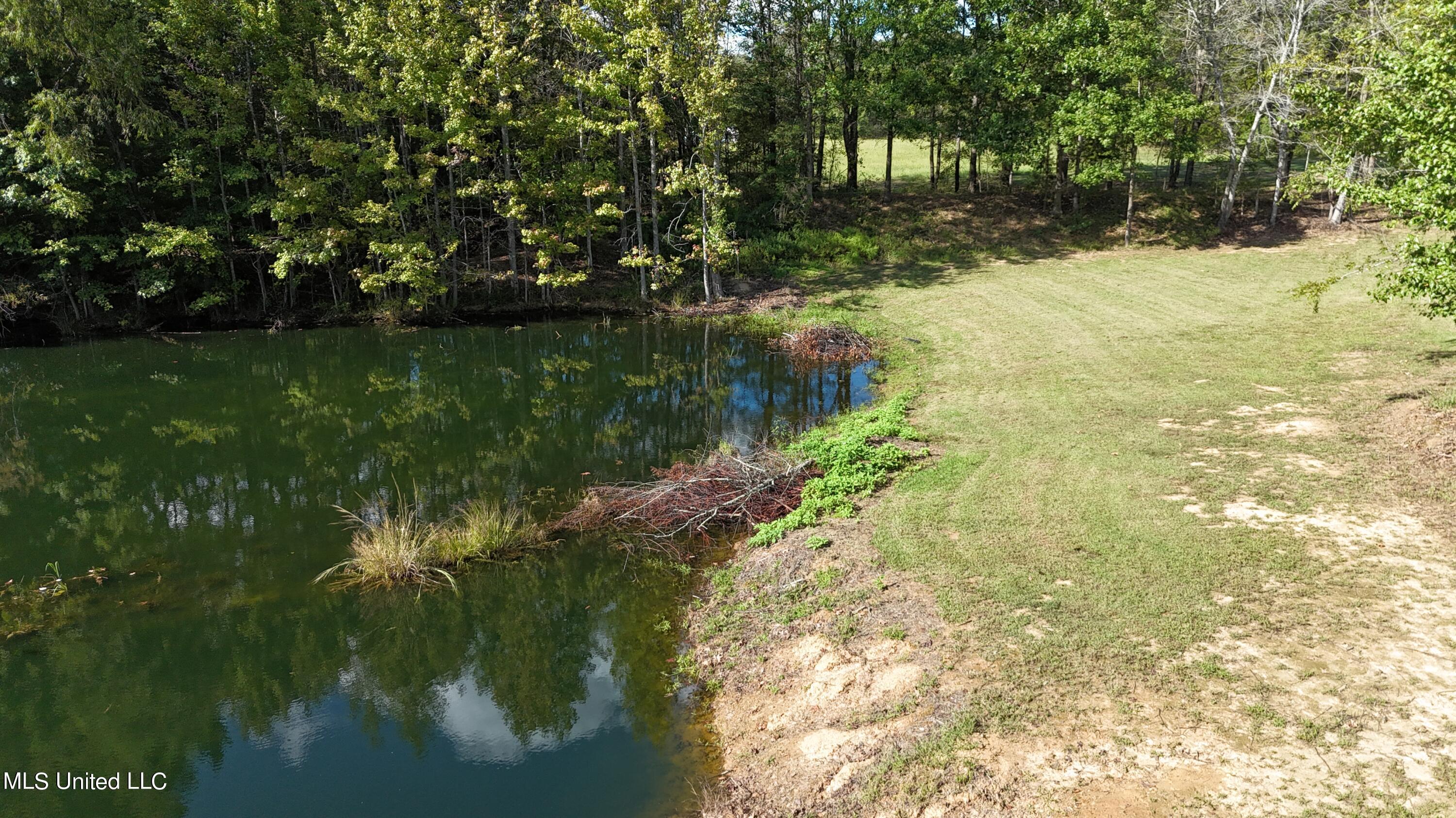 Lot 9 Steward Rd., Senatobia, Mississippi image 9