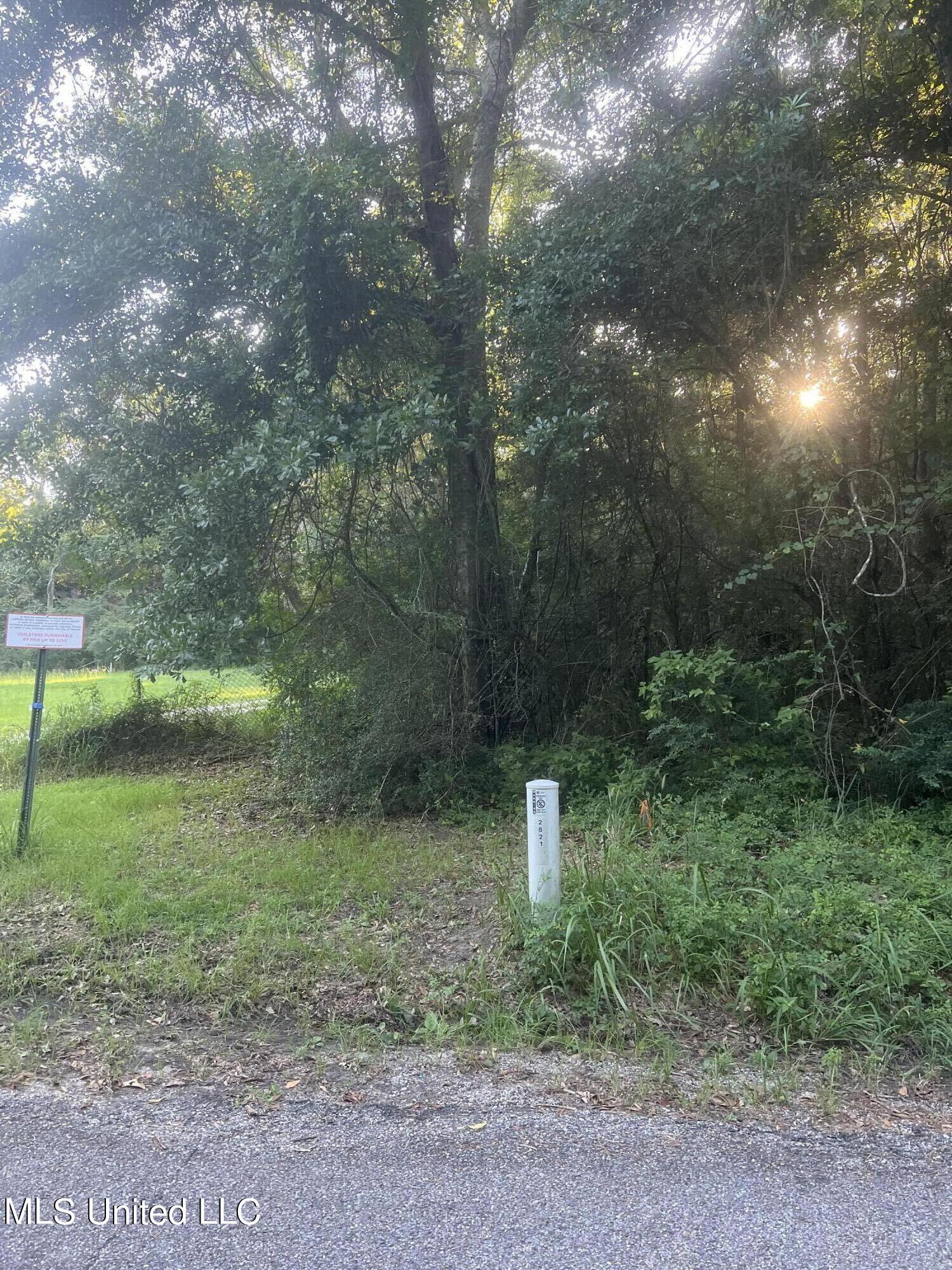 Chamberlain Road, Gautier, Mississippi image 1