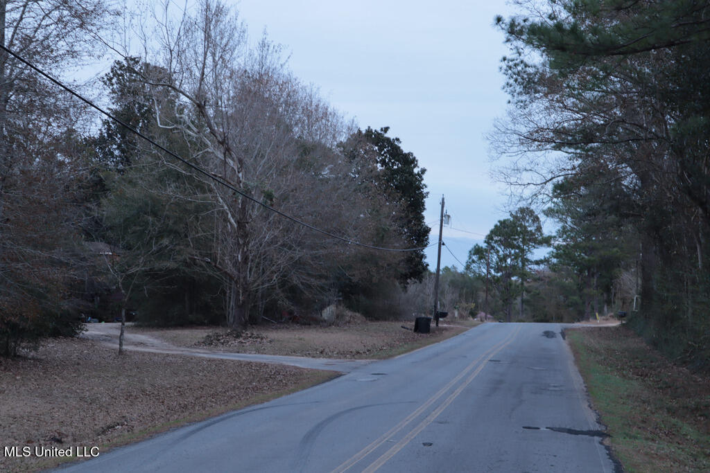 Old Mobile Highway, Lucedale, Mississippi image 11