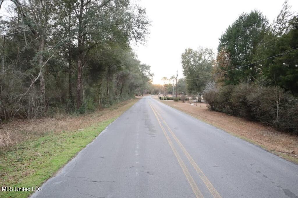 Old Mobile Highway, Lucedale, Mississippi image 3