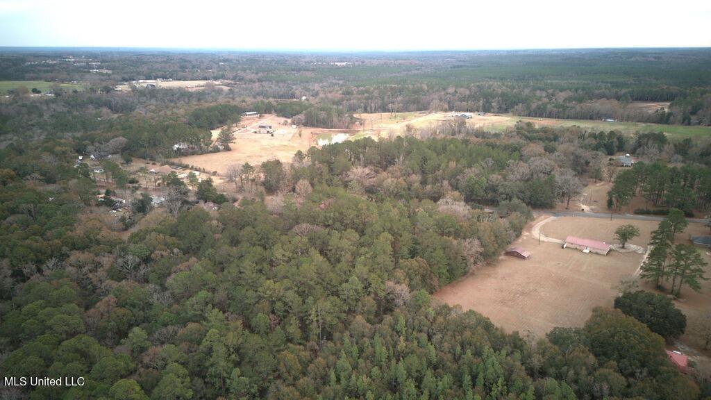 Old Mobile Highway, Lucedale, Mississippi image 10