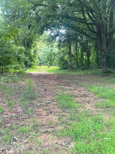 Vacant Land For Sale - Longtown Road<br/> Sarah, MS 38665