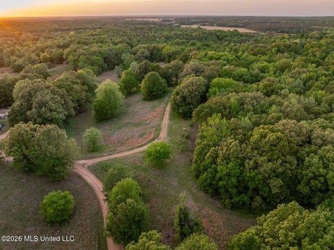 Vacant Land For Sale - 000 Hankins Road<br/> Sarah, MS 38665