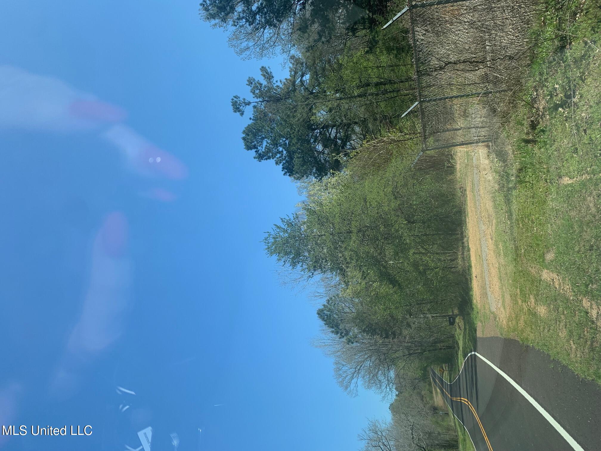 Woolsey Road, Olive Branch, Mississippi image 1