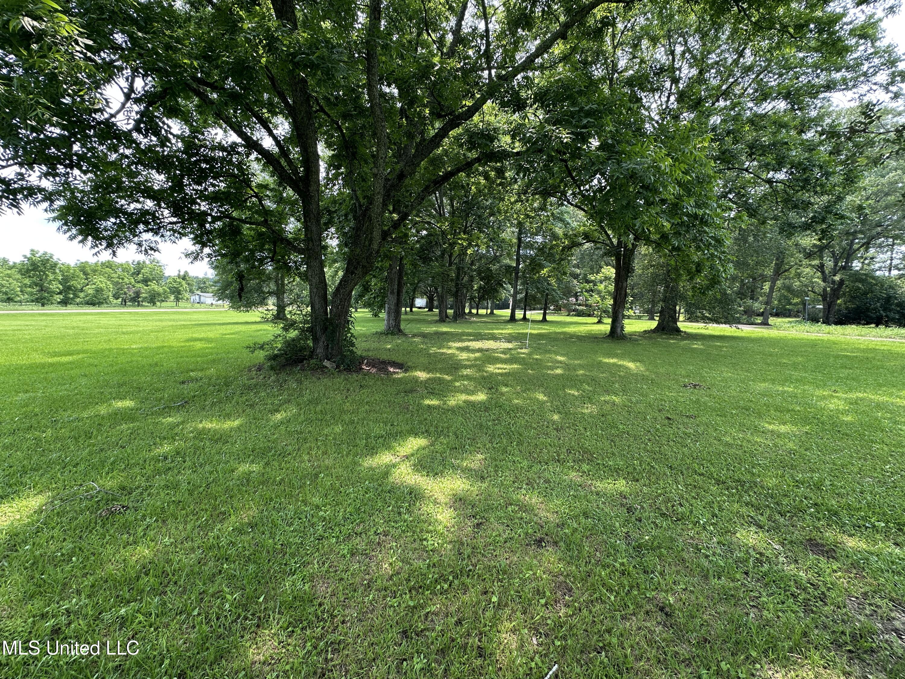 381 W Old Highway 24, Kokomo, Mississippi image 1