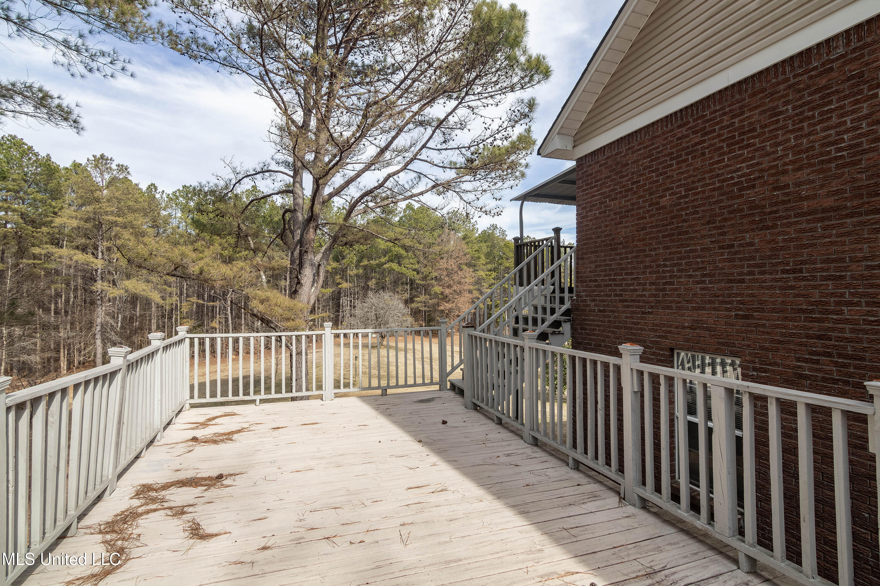 139 Lacy Ivy Road, Potts Camp, Mississippi image 32