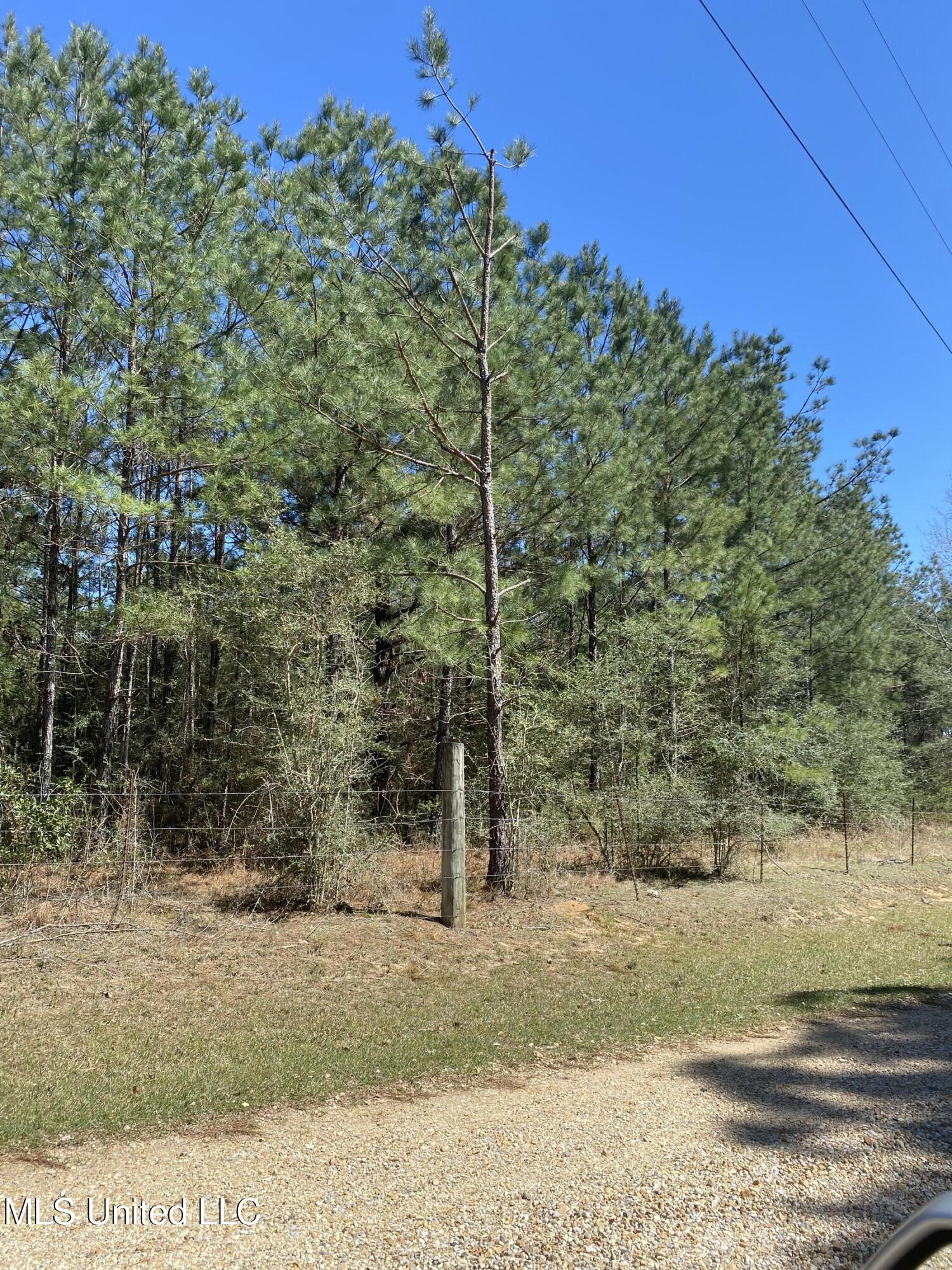 00 St. Angelo Lane, Poplarville, Mississippi image 2