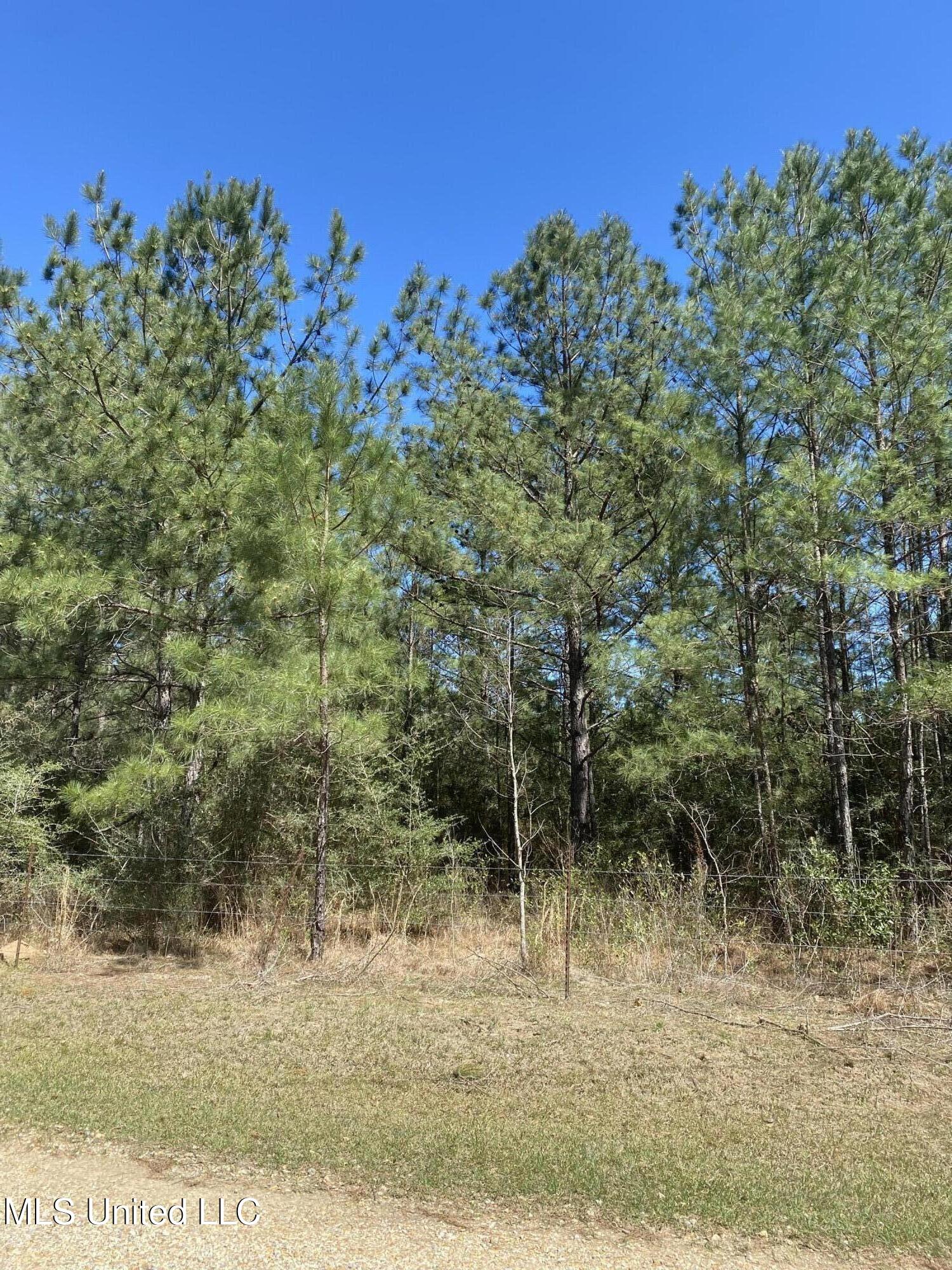 00 St. Angelo Lane, Poplarville, Mississippi image 3