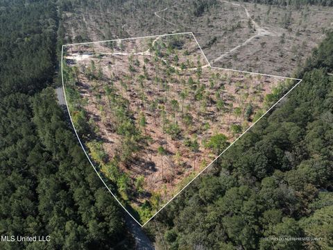 Vacant Land For Sale - 16.36 +/- Acres Noel Townsend Road<br/> Seminary, MS 39479