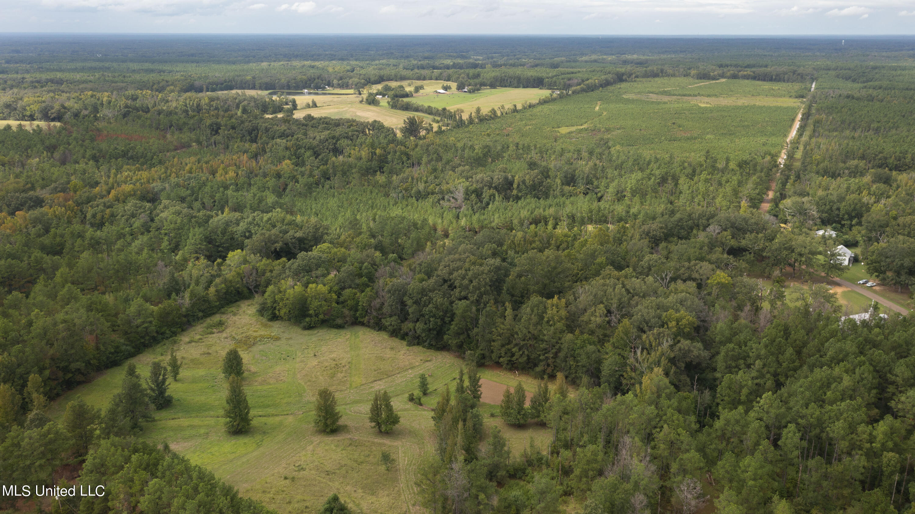 Canton, Mississippi 39046, United States, ,Land,Active,42732