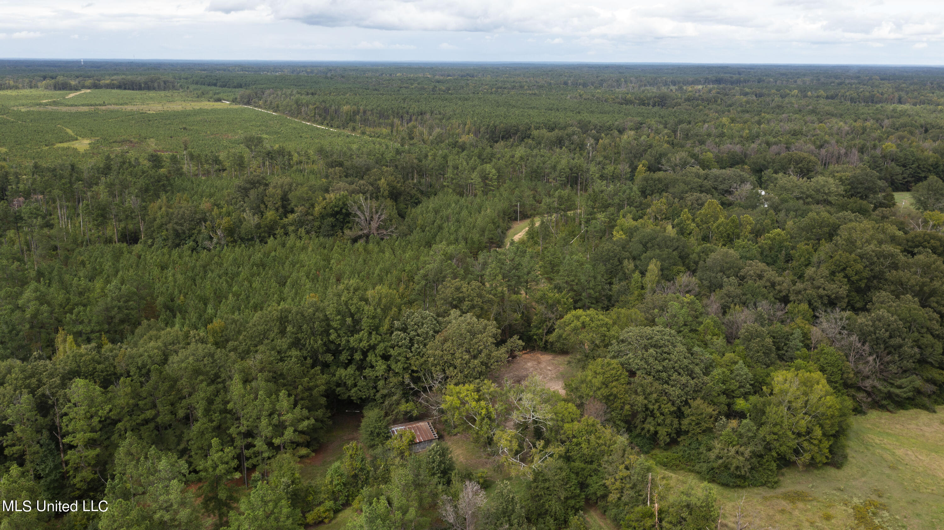 Canton, Mississippi 39046, United States, ,Land,Active,42732