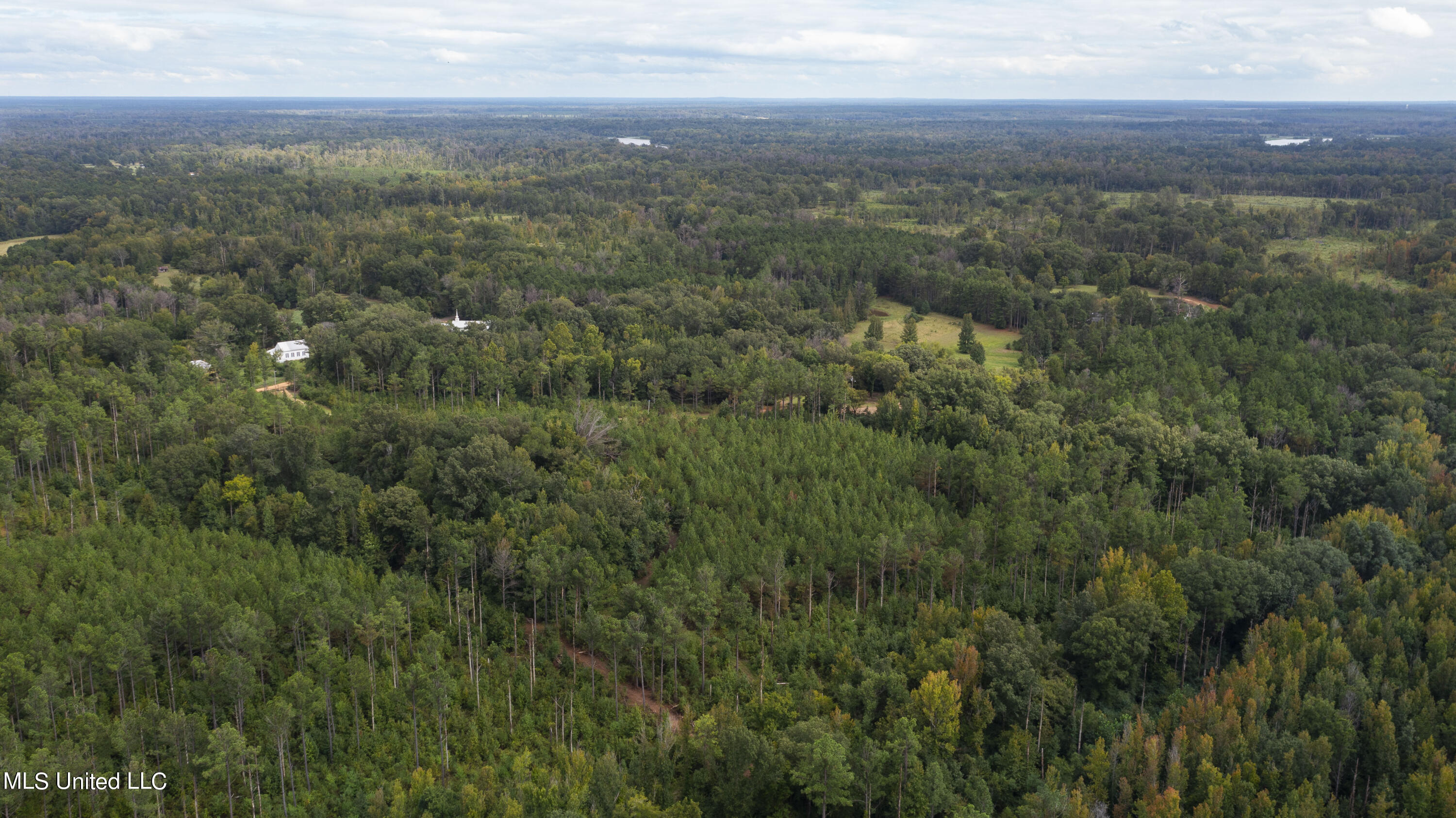 Canton, Mississippi 39046, United States, ,Land,Active,42732