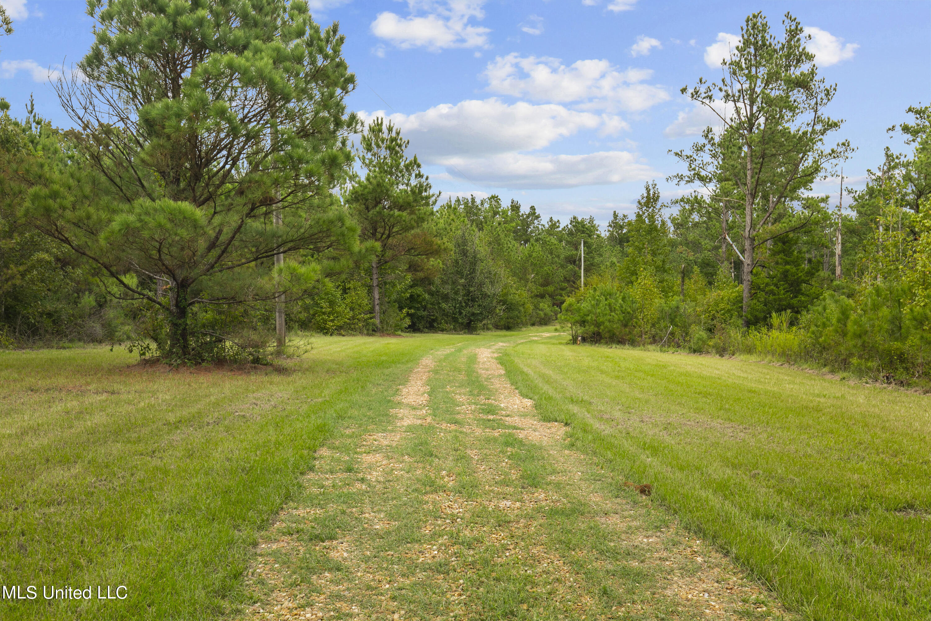 Canton, Mississippi 39046, United States, ,Land,Active,42732